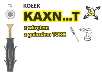 Kołek KAXN z wkrętem z gniazdem TORX Amex Starfix